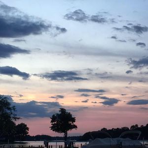 Meet your Posher, Todd